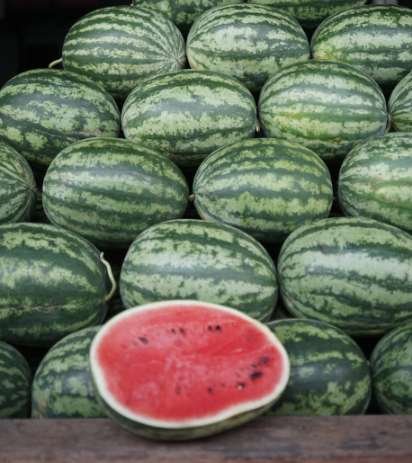 pasteque